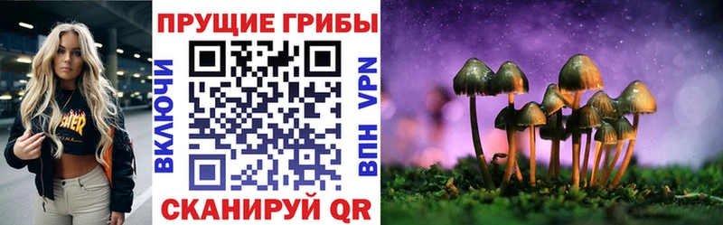 Галлюциногенные грибы прущие грибы ссылка на мегу ССЫЛКА Находка