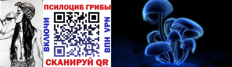 Галлюциногенные грибы Psilocybe Находка