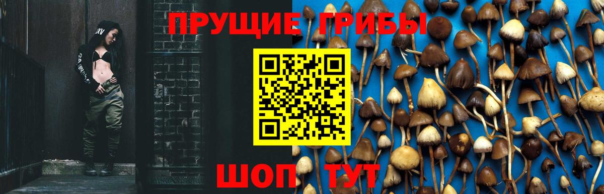 Галлюциногенные грибы мухоморы  Вход с VPN  Находка 